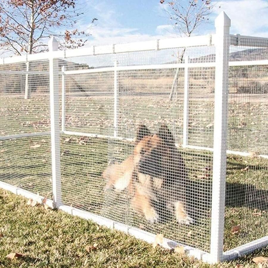 チ