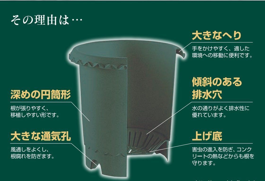 卸直営 大和プラスチック 根はり鉢 7号 3L ダークグリーン buxo.cat