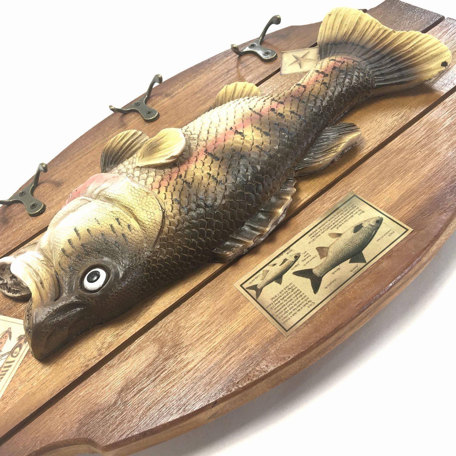 ブラックバス 壁掛け (40cm×24cm) レプリカ 模型 フィギュア