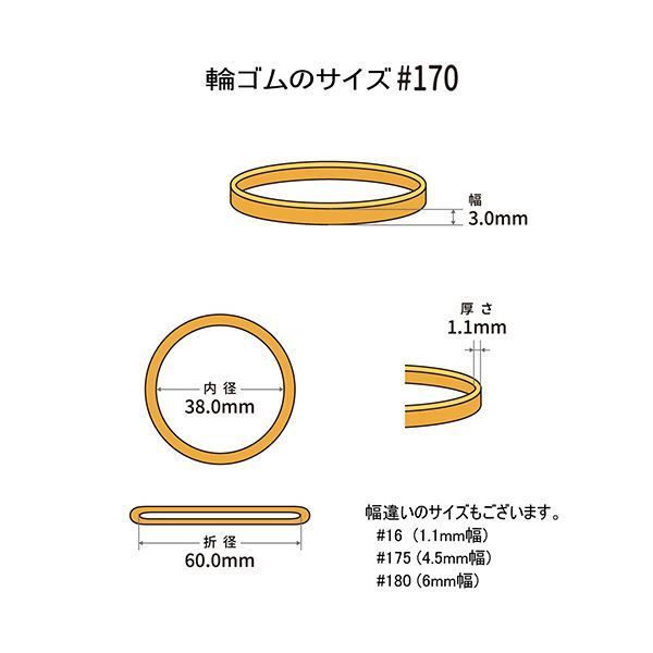 まとめ 共和 オーバンド 170 内径38mm 500g入 透明袋 GGA-N-006 1袋 ×3セット