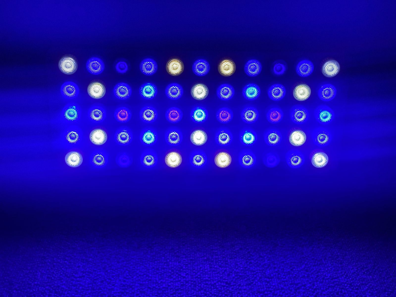 珊瑚水槽照明 LEDライト ブラックボックス PSE技術基準適合 プリズムレンズ