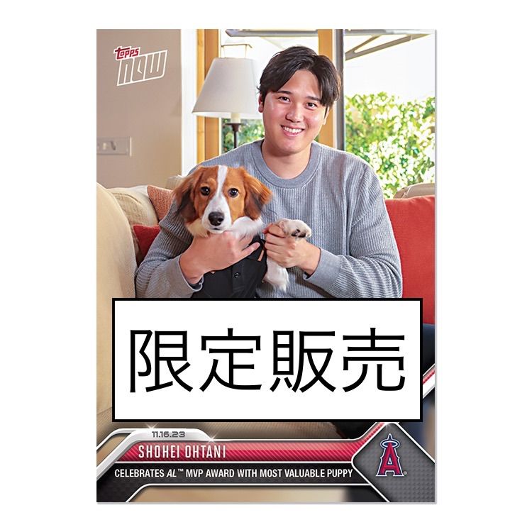 完売品】2023 Topps Now 大谷翔平 × 愛犬＂デコピン＂🐕 MVP受賞 特別 