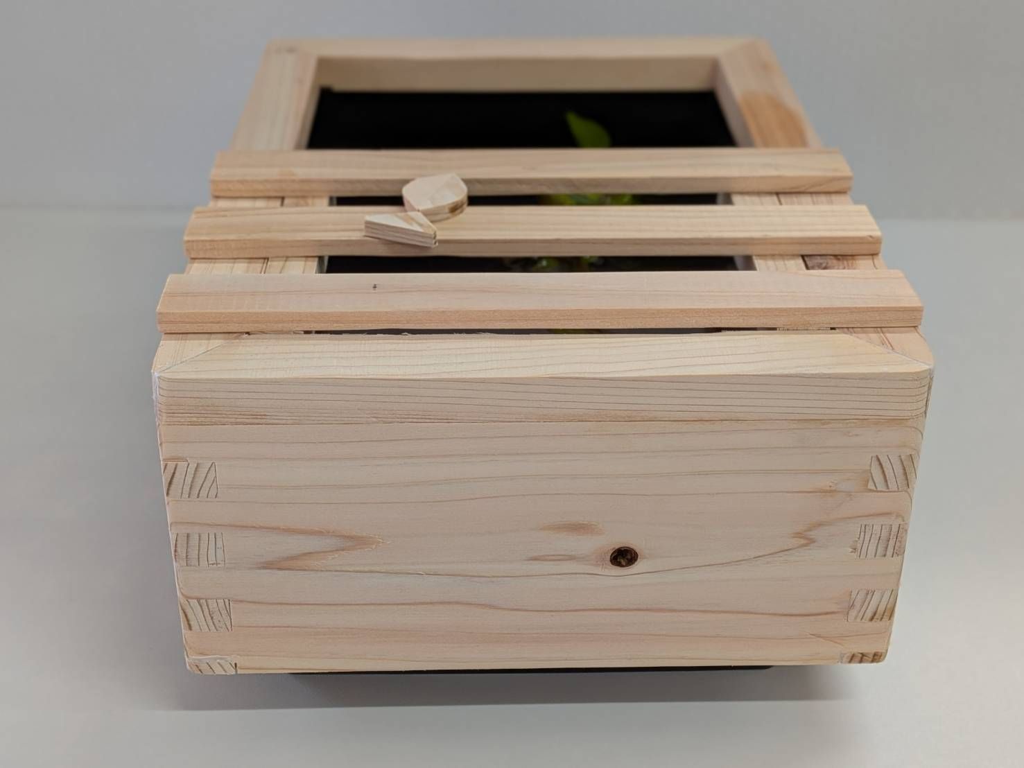 ビオトープ 60L トロ舟＆木枠セット（フラットタイプ防鳥網付き