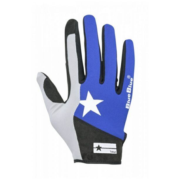 色紙・額 故 畠山 錦城画伯 「蘭」 真筆証明書付き