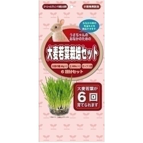 同梱不可 40個セット アラタ うさちゃん用大麦若葉栽培セット6回分