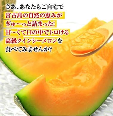 宮古島直送⭐︎赤肉メロン中サイズ(2玉白箱) 宮古島産 赤肉メロン(2玉) 旬の味覚 - メルカリ