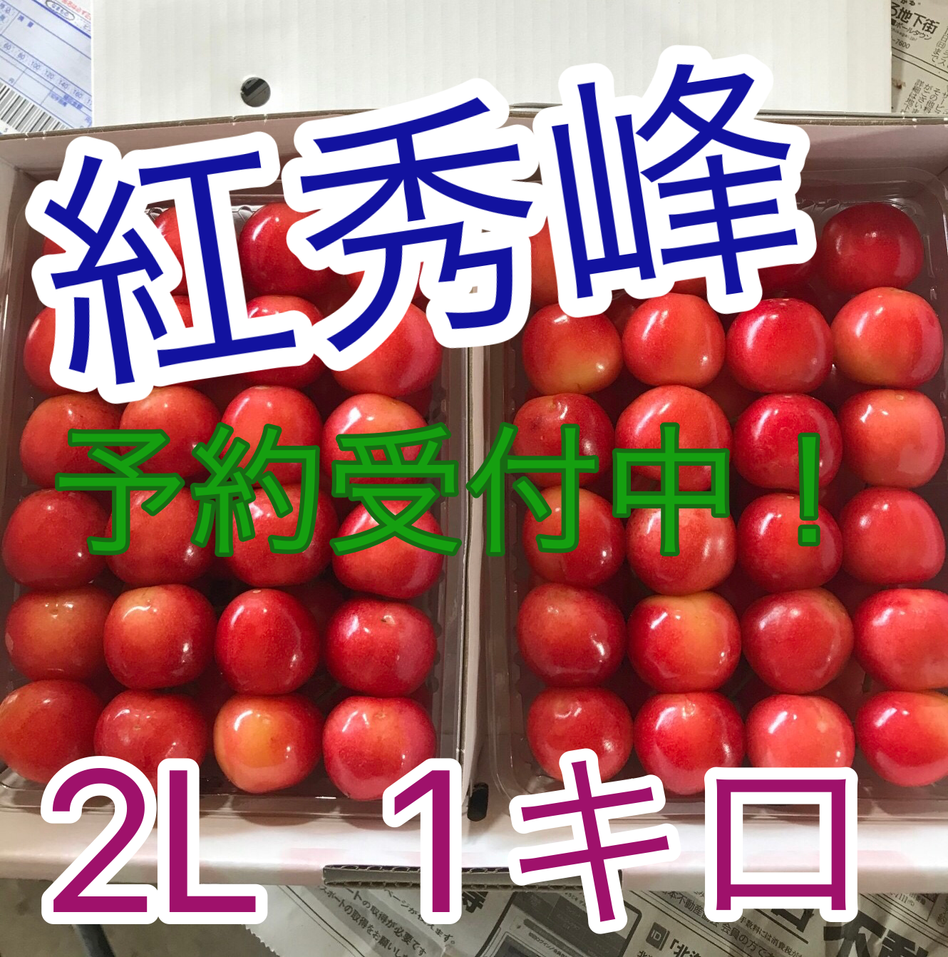 【予約受付開始】さくらんぼ　紅秀峰　2L 1キロ