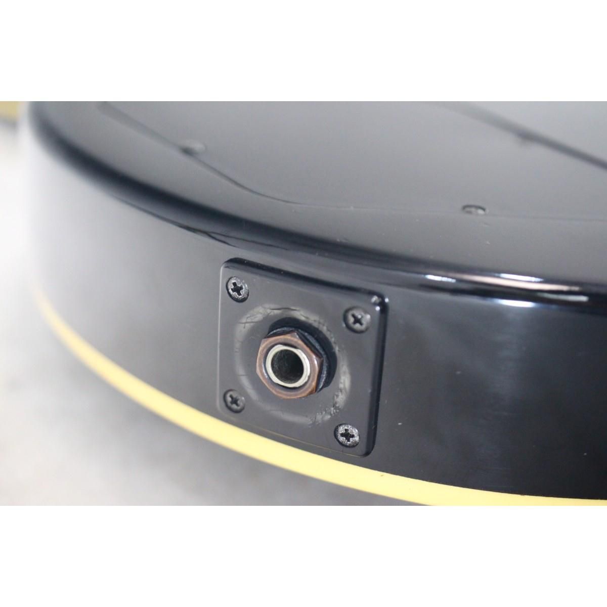 ＰＡＵＬ ＳＴＡＮＤＡＲＤ