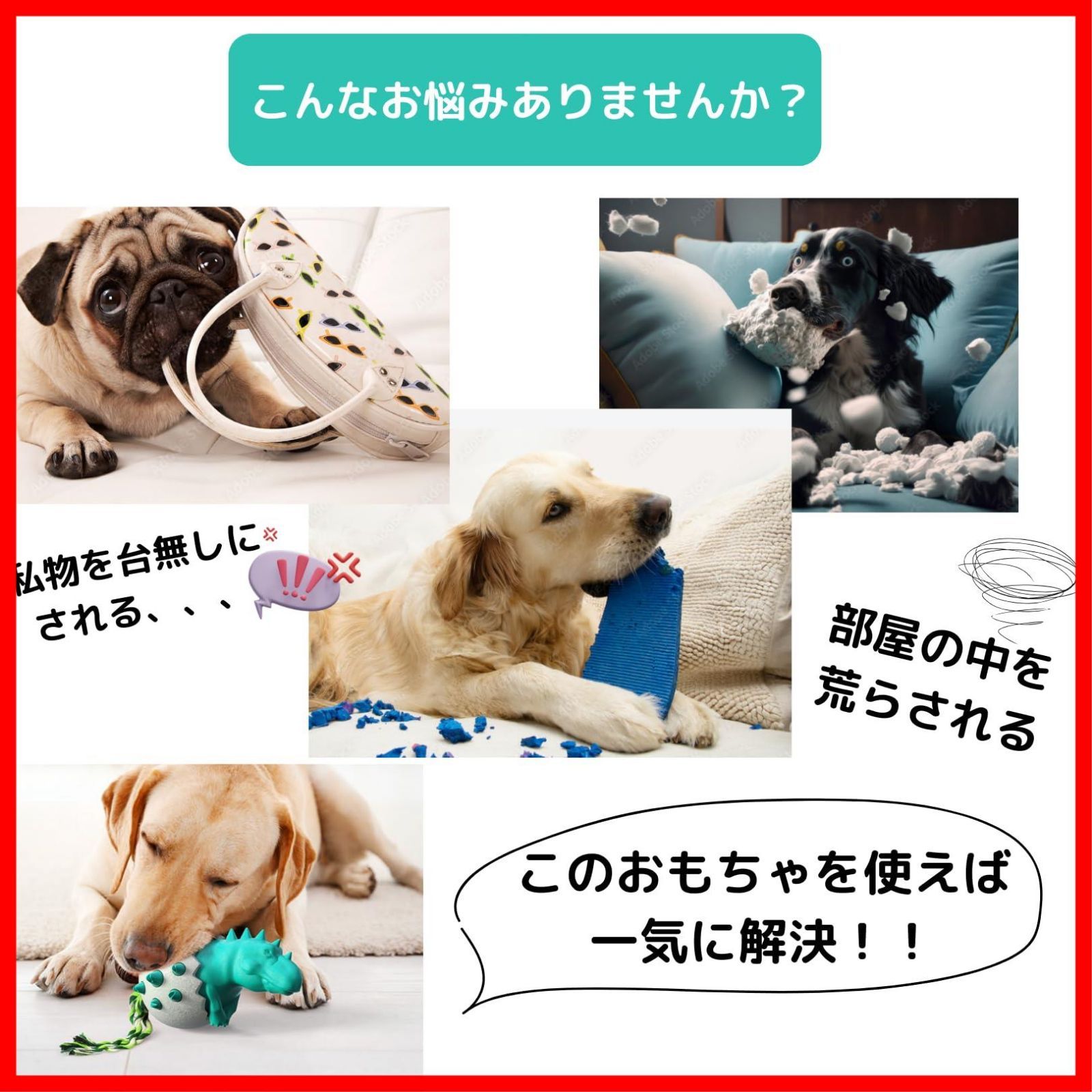 大型犬