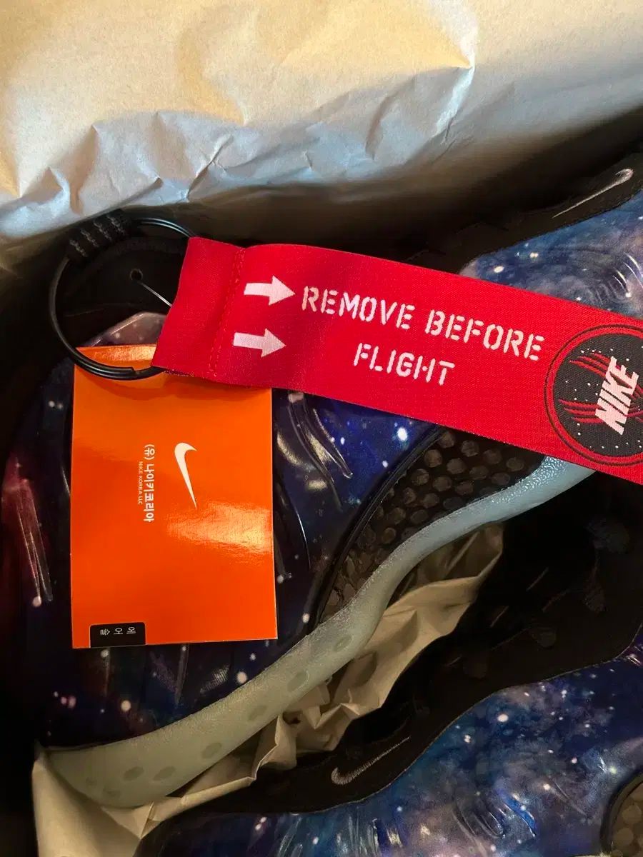 NIKE ナイキ エア フォームポジット ギャラクシー