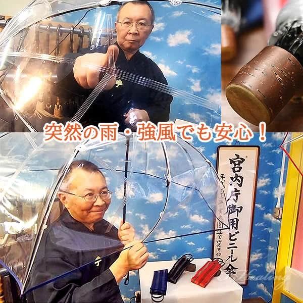 グラスファイバー8本骨傘 男女兼用