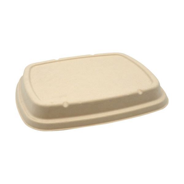 まとめ パックスタイル BB竹バガス弁当 N24-20F 共蓋 245×205×高さ18mm 1パック 50枚 ×5セット