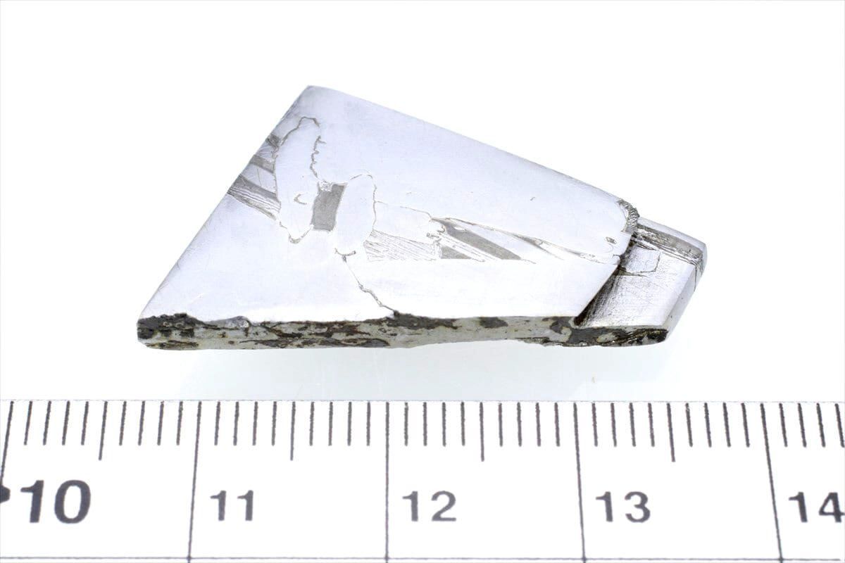 セイムチャン 10g スライス カット 標本 石鉄 隕石 パラサイト 