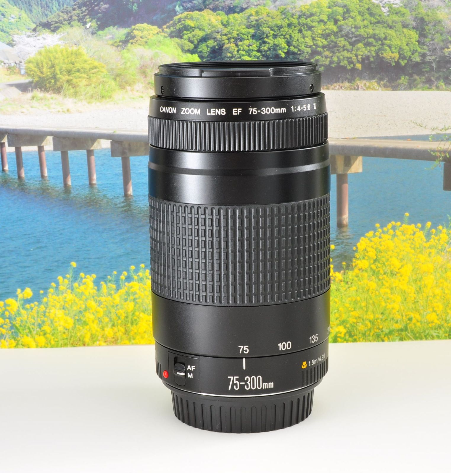 キヤノン EF 75-300mm 軽量望遠ズームレンズ 運動会 旅行 ポートレート