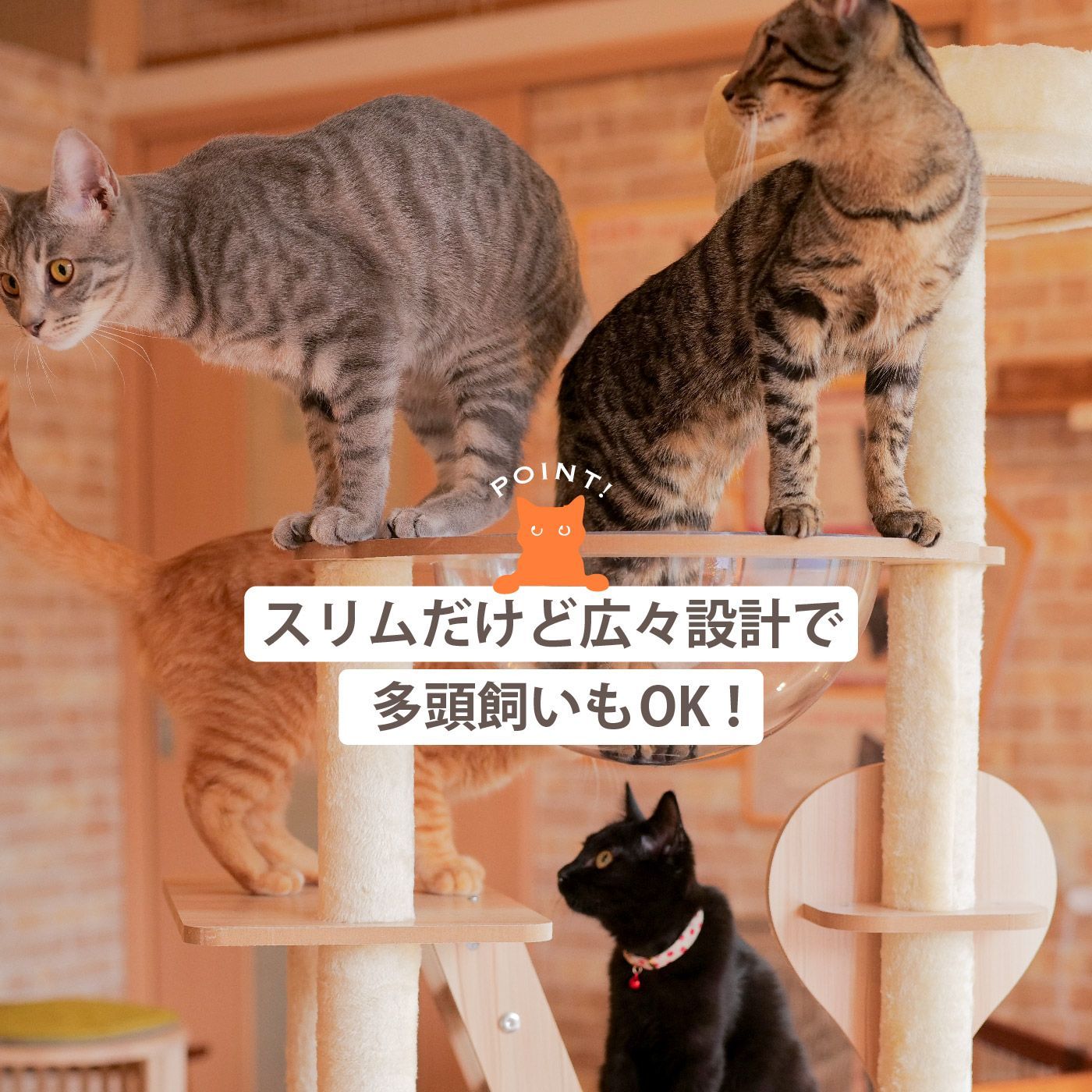 おしゃれ
