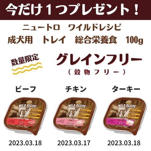 人気の福袋 【NEW限定品】 新品、未使用 ソルビダ グレインフリー