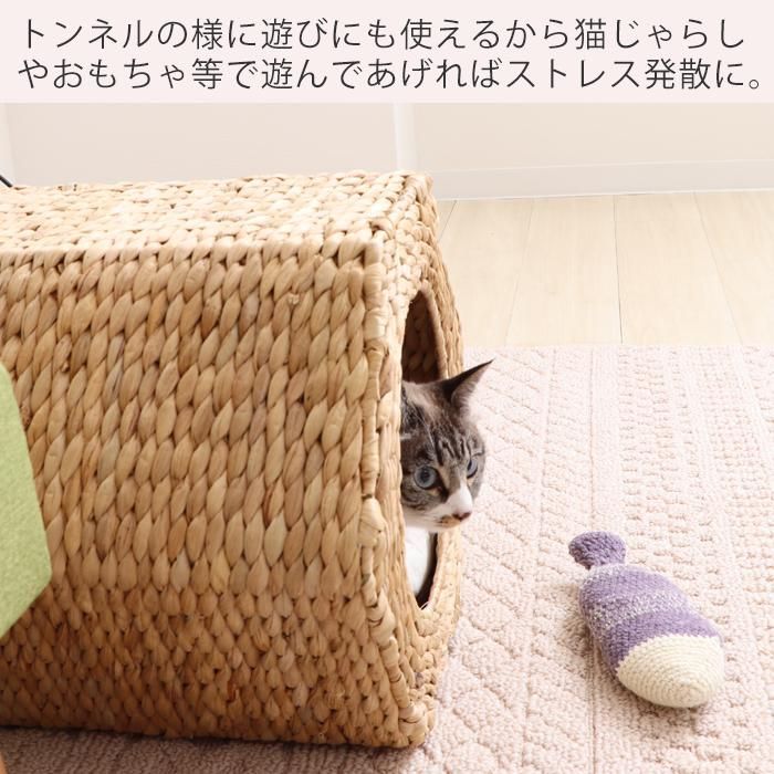 小型犬 涼しい