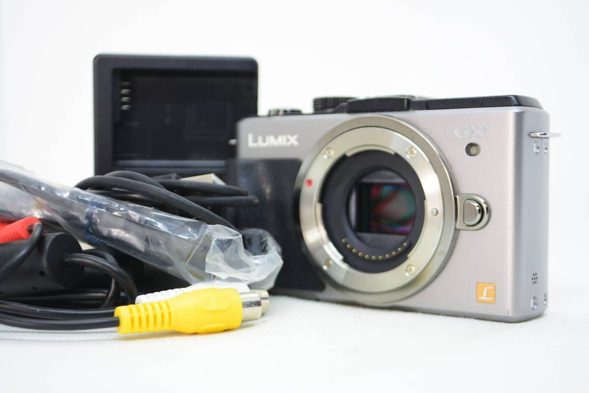 実用品 LUMIX ルミックス DMC-GX1 ボディ