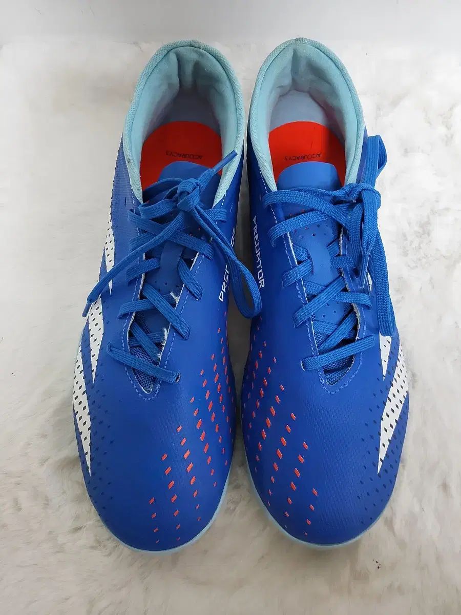プレデター elite Adidas ベリンガムスニーカー アディダス プレデター