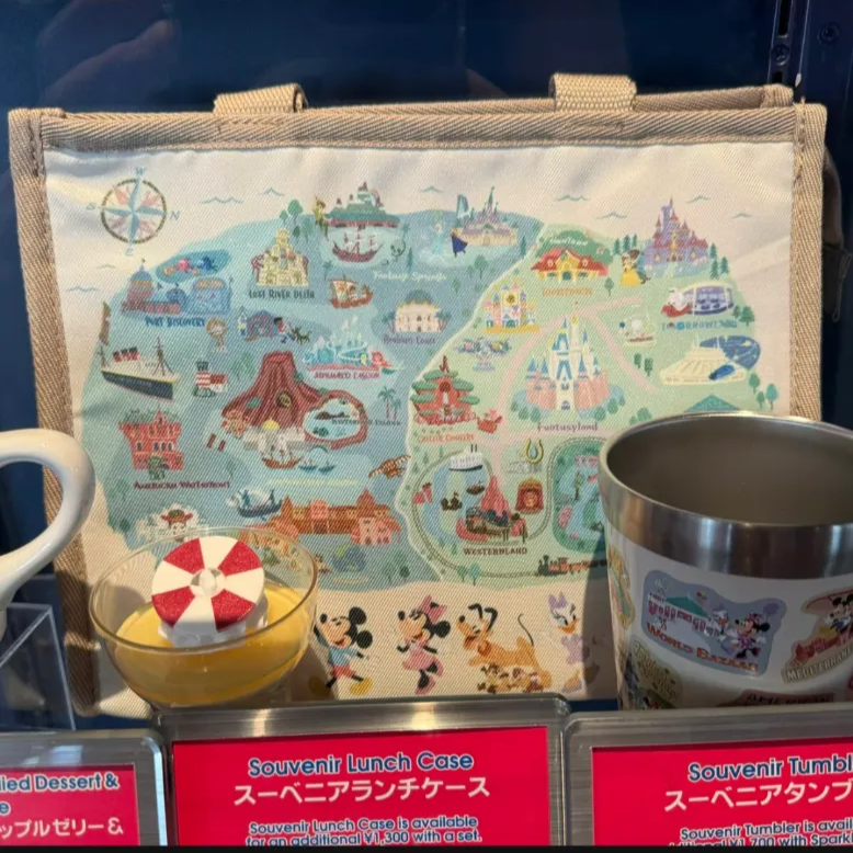 ★DISNEY RESORT パークマップ スーベニアランチケース