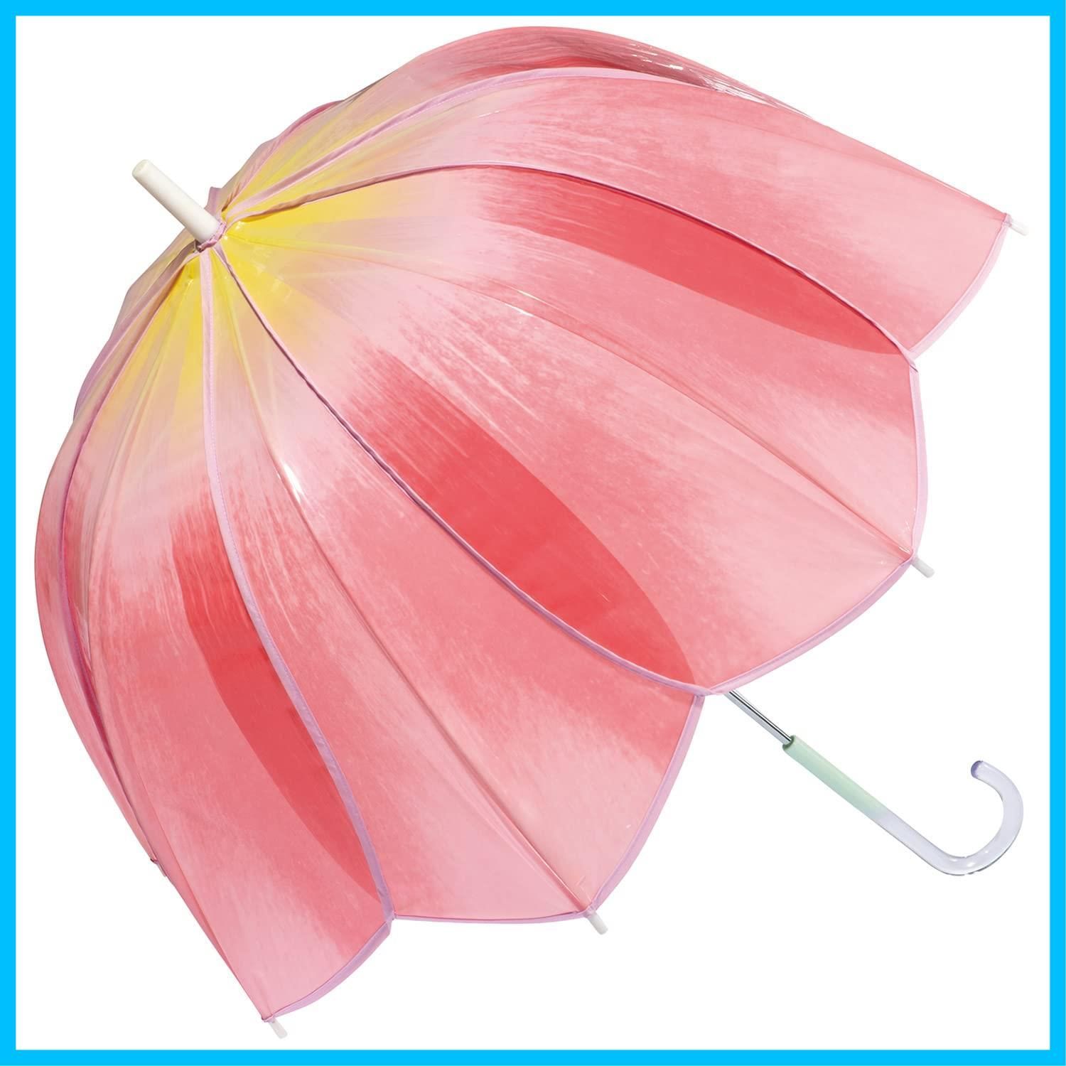 Christian Dior ヴィンテージディオール 晴雨兼用長傘 スケルトン Dior