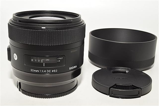 激レア品 シグマ Sigma SIGMA Art 30mm F1.4 DC HSM Art A013 Sony Aマウント用