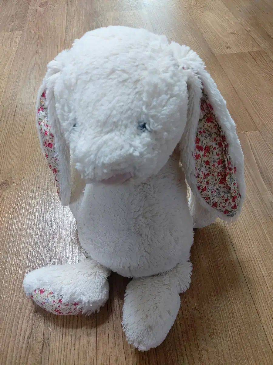 ジェリーキャット