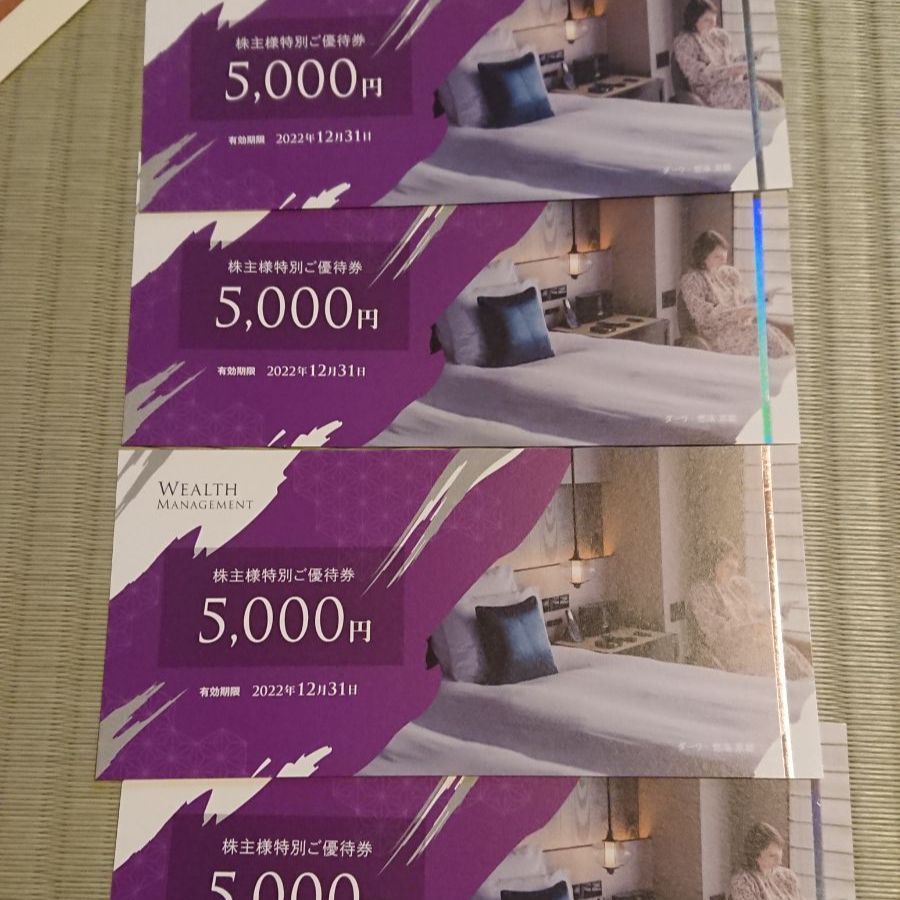 ウェルスマネジメント 株主優待券 30,000円分 ウェルス ウェルスマネジメント 株主優待券 30,000円分 ウェルス