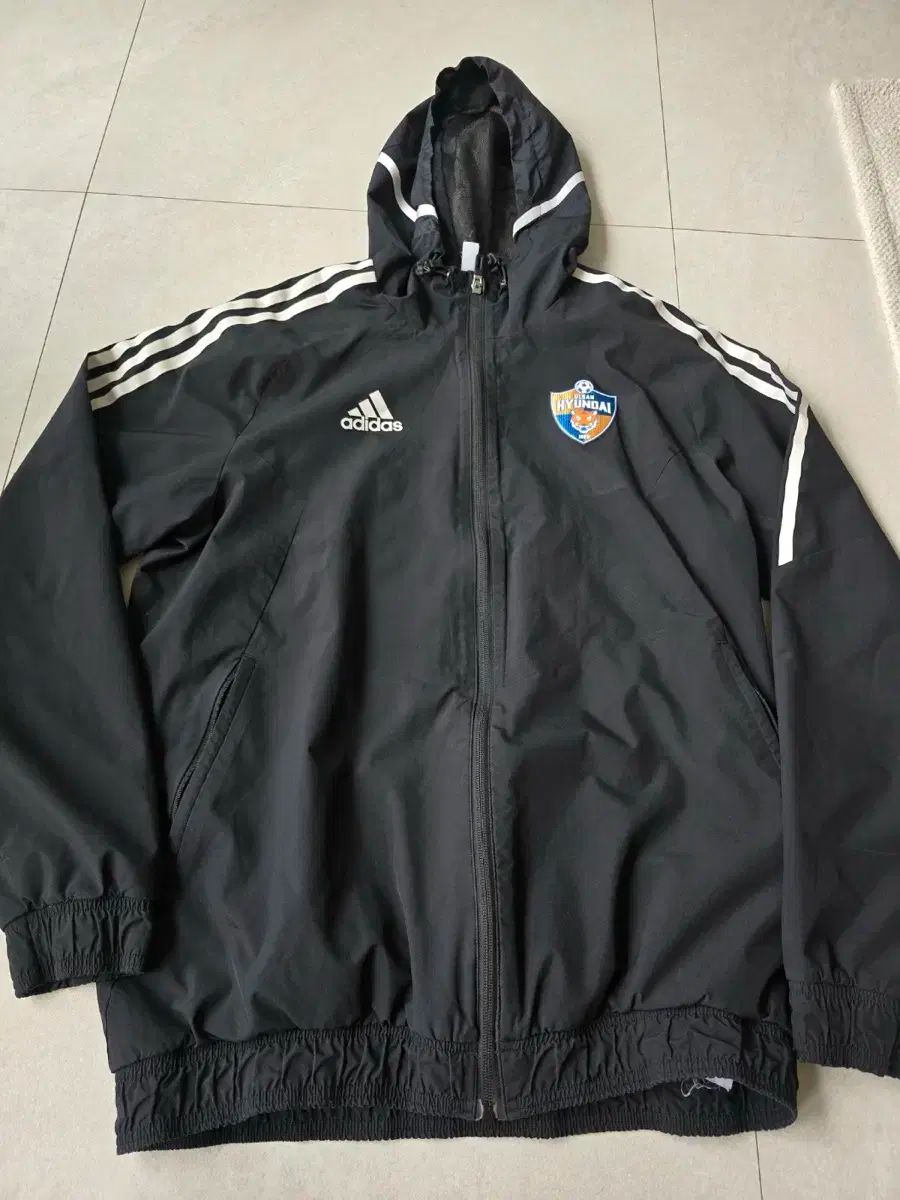 テディ片岡（片岡義男）ゴールデンデラックス：愛と真実を追求するメ