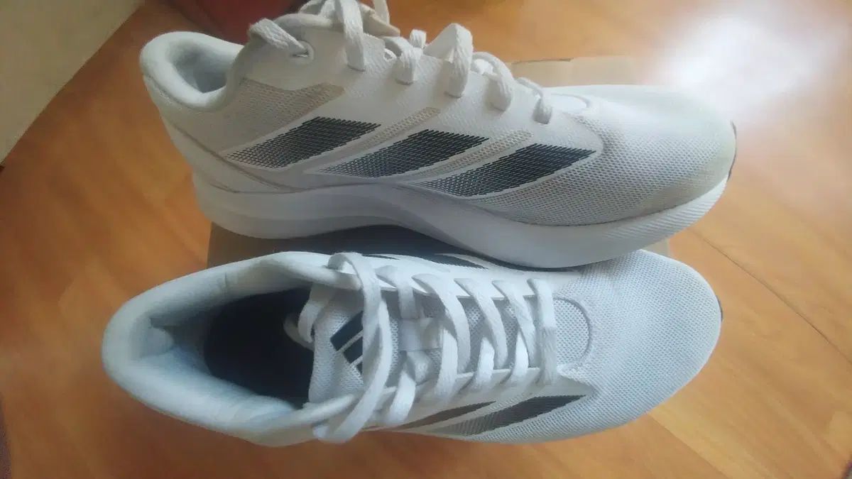 ランニングシューズ デュラモSL