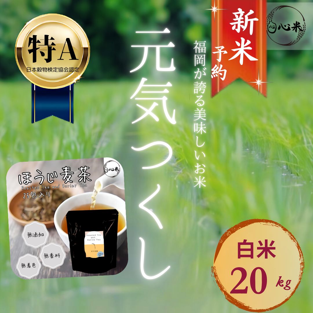 Benesse 進研ゼミ 高校講座 ほぼ年間セット 高1 進研ゼミ 高校講座