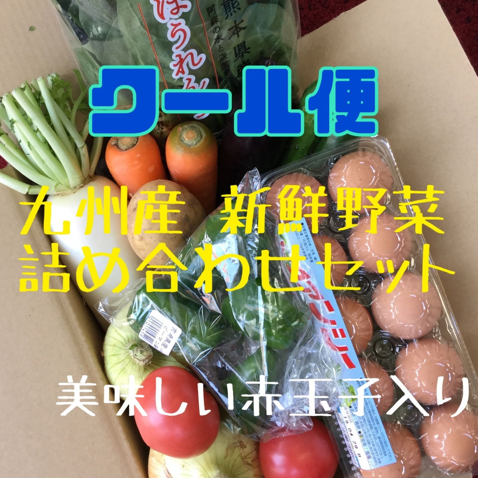 【2倍量】九州産　新鮮野菜　詰め合わせセット