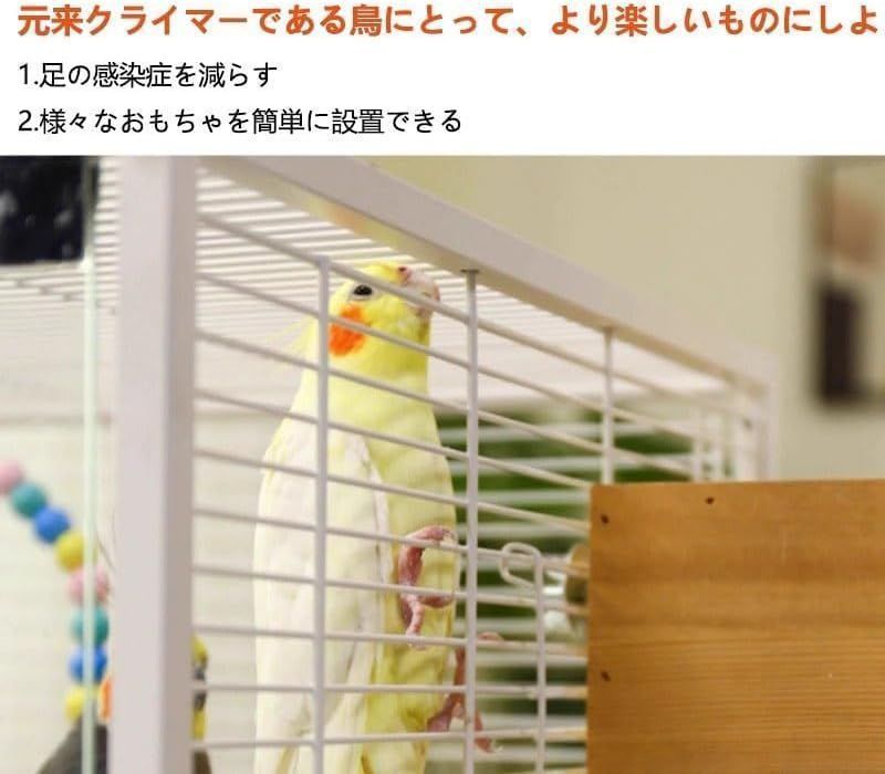 鳥巣