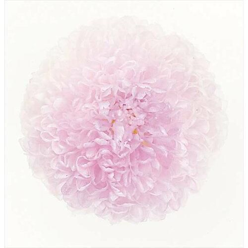 【新品・5営業日で発送】大地農園(Ohchi Nursery) 大地農園 EARTH MATTERS ポンポン菊 ミディ ホワイトパープル プリザーブドフラワー【日本製】 (02646-403)