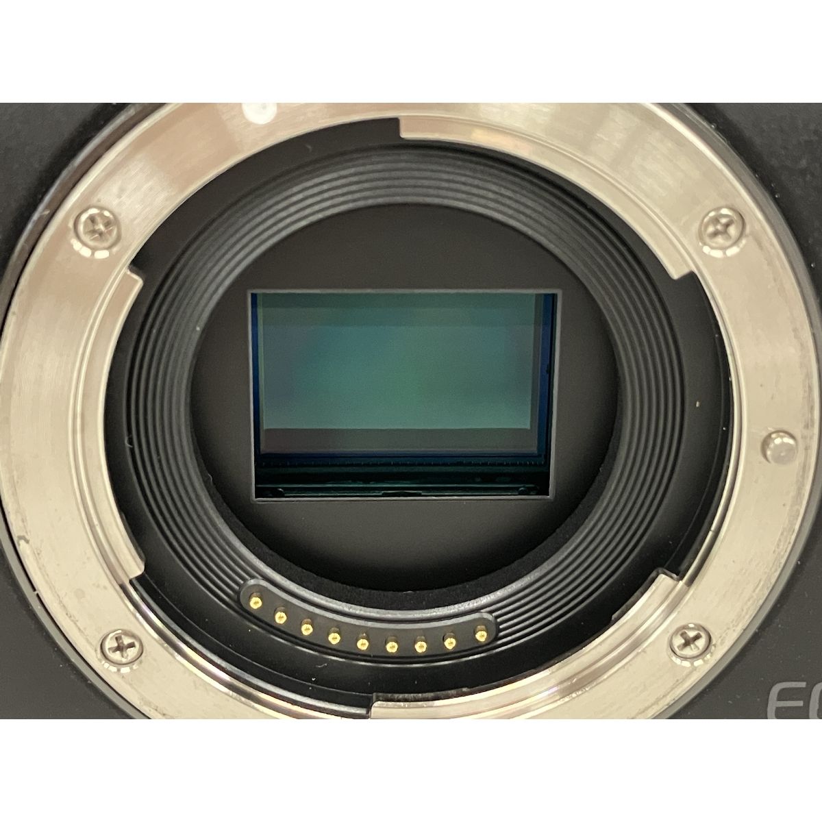 Canon