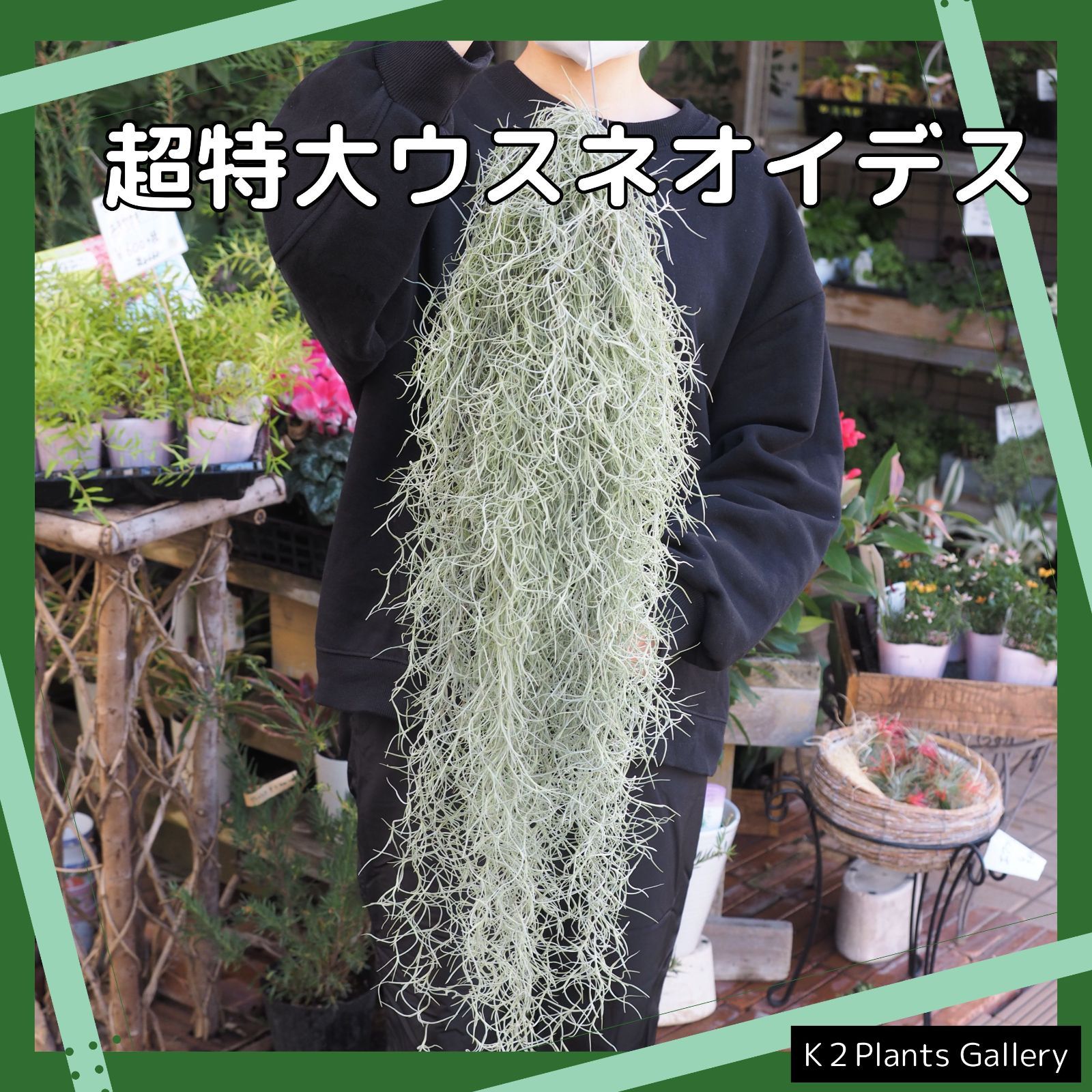 のサムネイル