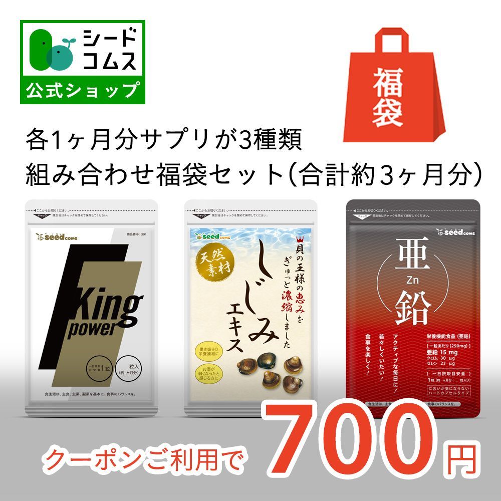 鉄サプリメント VOR 30粒×4袋