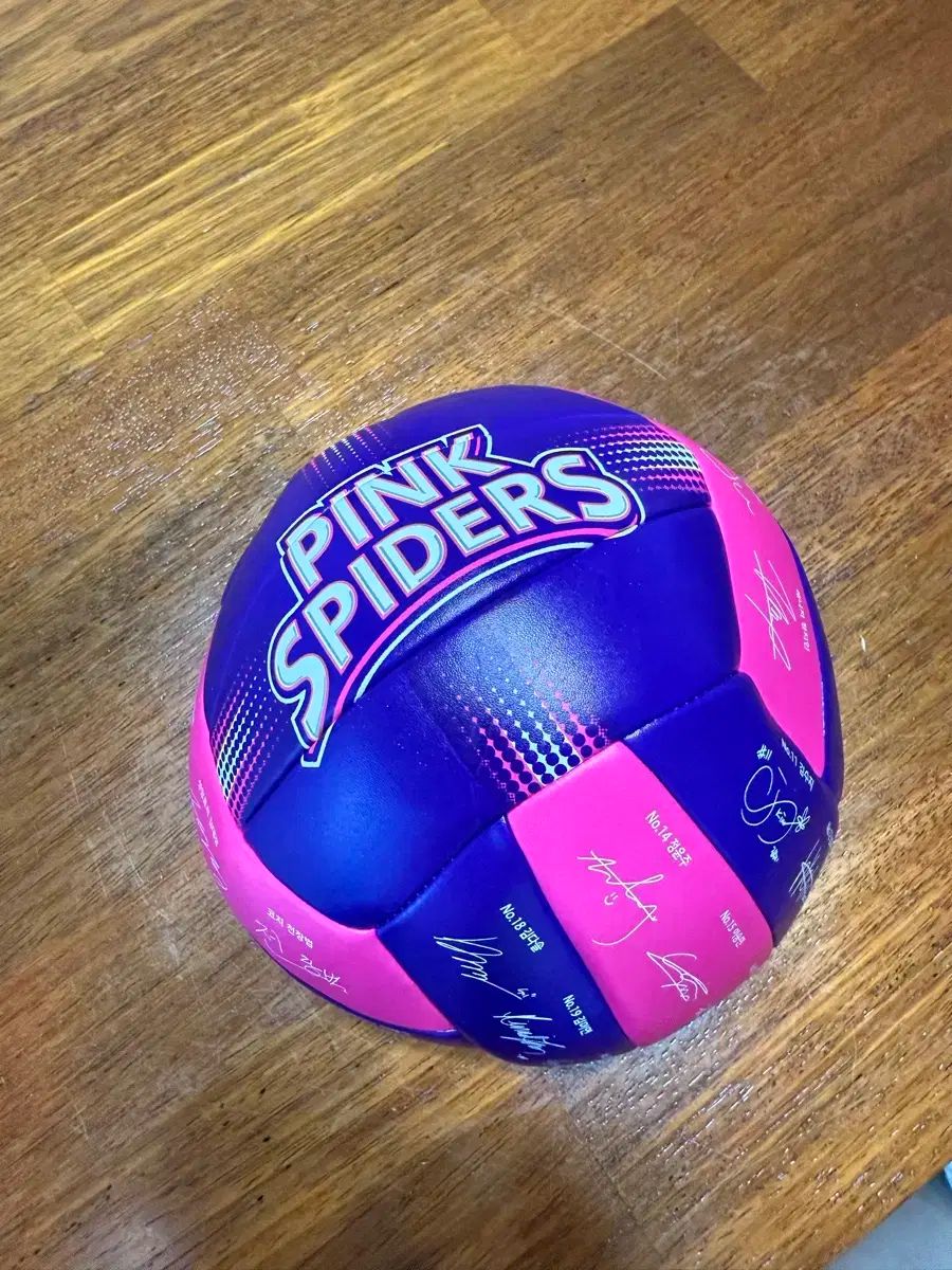 興国生活 ピンクスパイダー バレーボールチーム サインボール