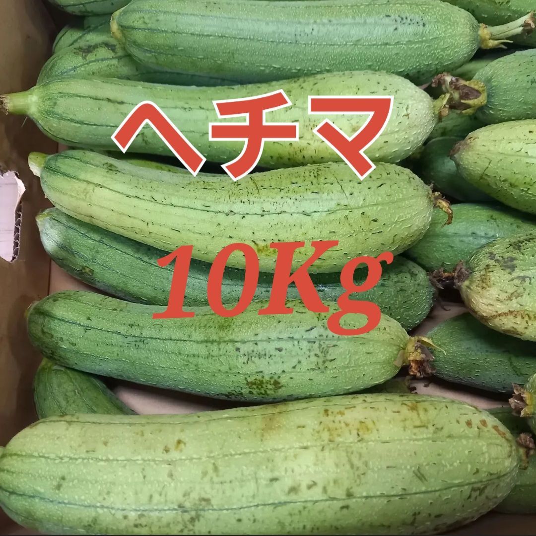 へちま（ナーベーラー）10kg　ちょい訳あり品　沖縄野菜 食用ヘチマ-0