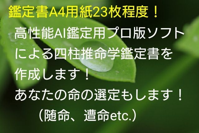 占い鑑定 高性能AI鑑定用プロ版ソフトによる四柱推命学鑑定書を作成します。 - メルカリ