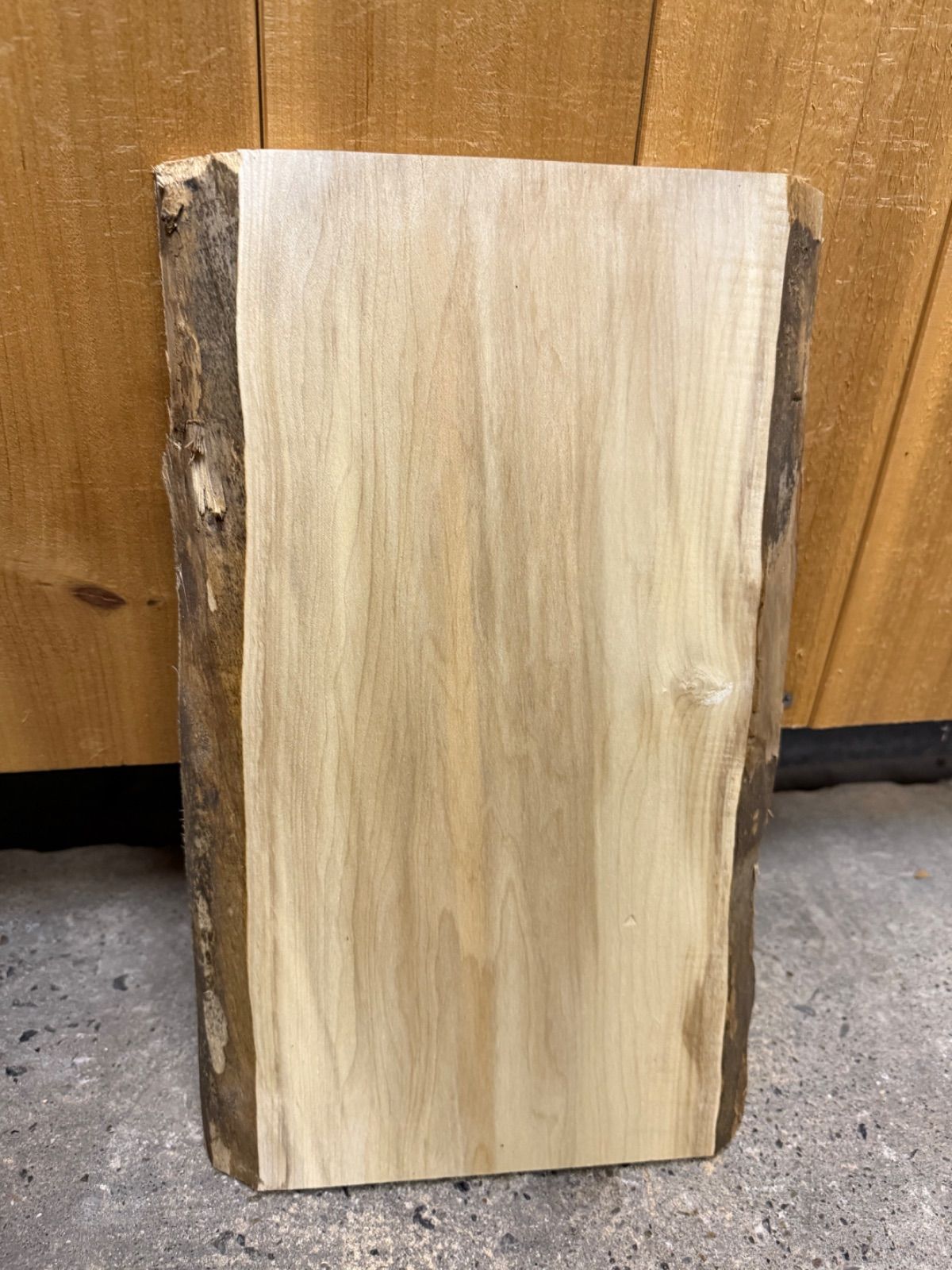 冬の海 小出宏 油彩画 1978年