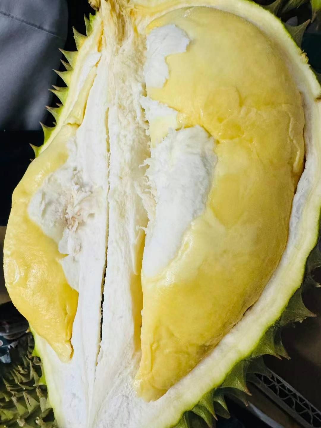 ベトナム産 ムサンキング 生ドリアン 1個 3.3-3.5 kg