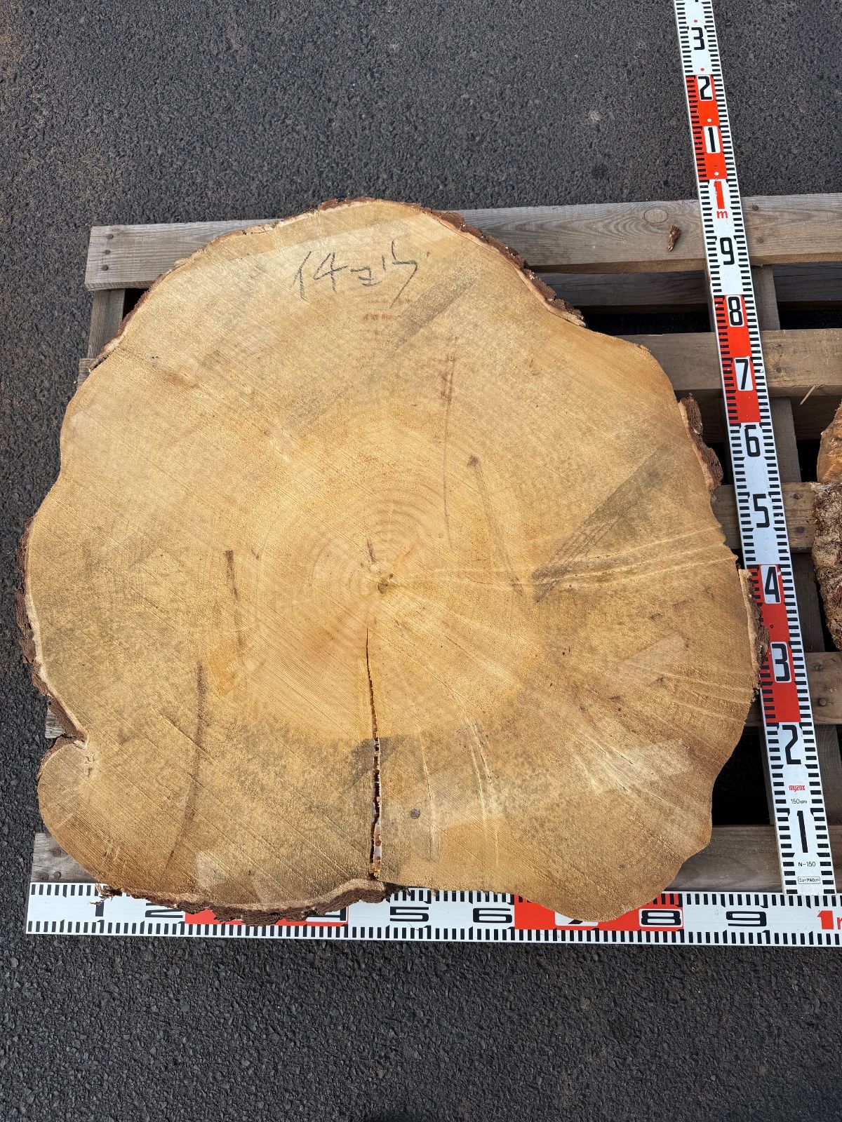 イチョウ 輪切材 銘木 一枚板 DIY ウッドプレート