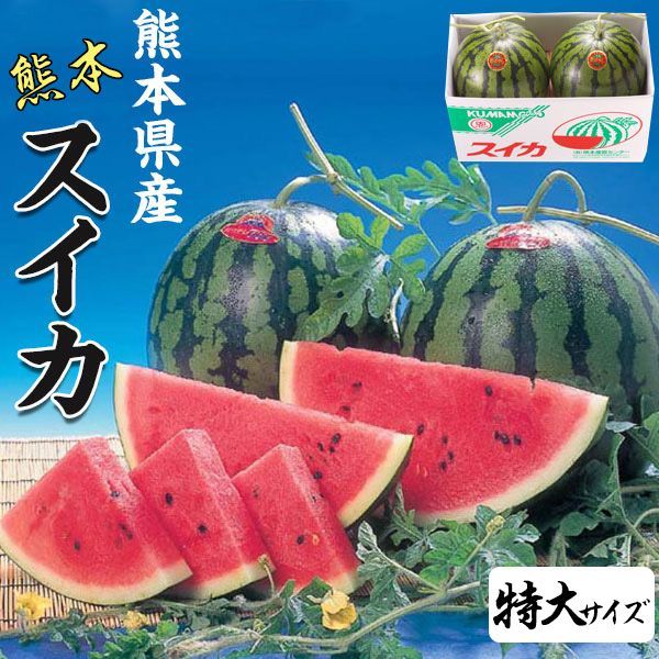 スイカ 特大サイズ 熊本県産 すいか 1箱 8kg × 2玉 セット 高級すいか 等級：秀(赤) ｜化粧箱入り 贈答用 高級西瓜 プレゼント 果物 母の日 希少すいか フルーツ ギフト