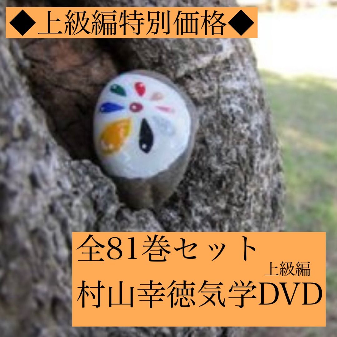 日本本物気学鑑定 村山幸徳先生 講座DVD43巻完全セット 新版新宿会場 その他