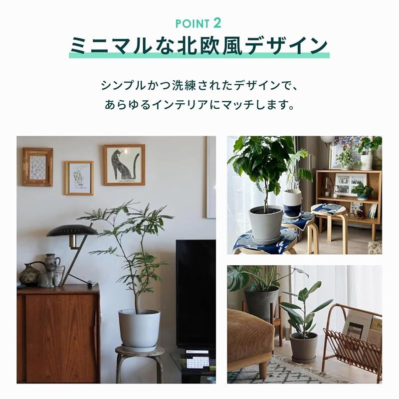 ホワイトグレー