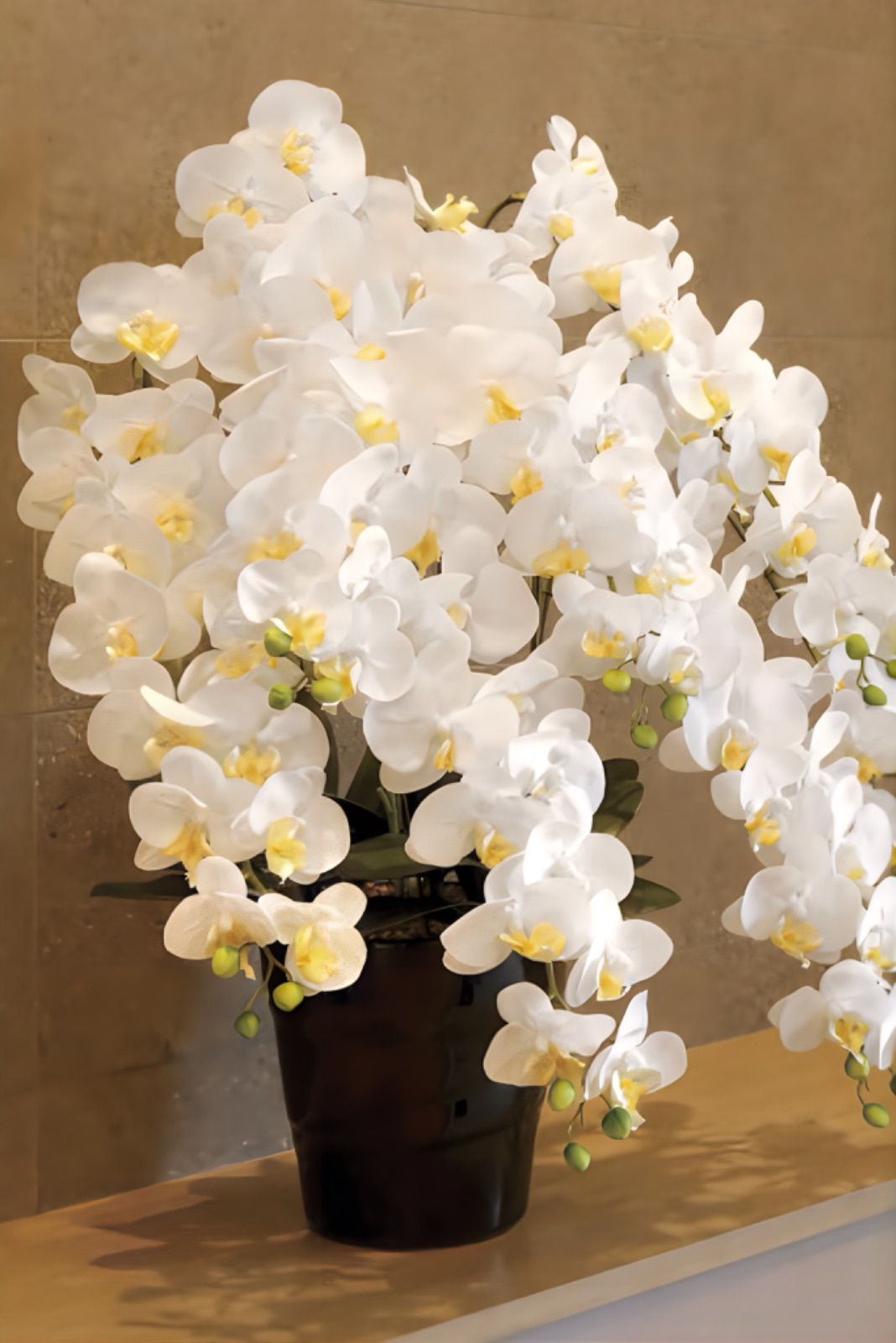 光触媒　人工観葉植物　フェイクグリーン　フレッシュロング胡蝶蘭7本立w 光触媒 人工観葉植物 フェイクグリーン フレッシュロング胡蝶蘭7本立w