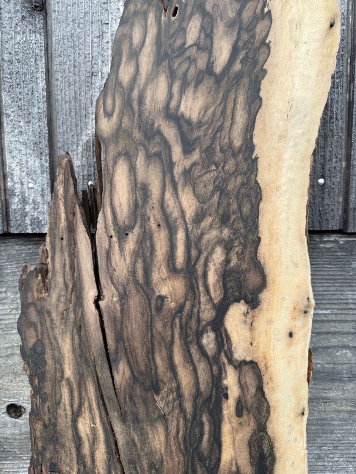 黒柿 銘木 孔雀杢 一枚板 無垢材 DIY 希少品 乾燥材 - メルカリ