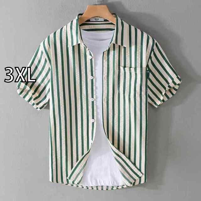 非売品、在日米軍EA-18G空母艦載機航空隊VAQ-141司令の指揮官