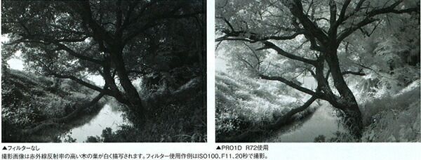 即配 KT 62mm PRO1D R72フィルター ケンコートキナー KENKO TOKINA 撮影用フィルター ネコポス便送料無料